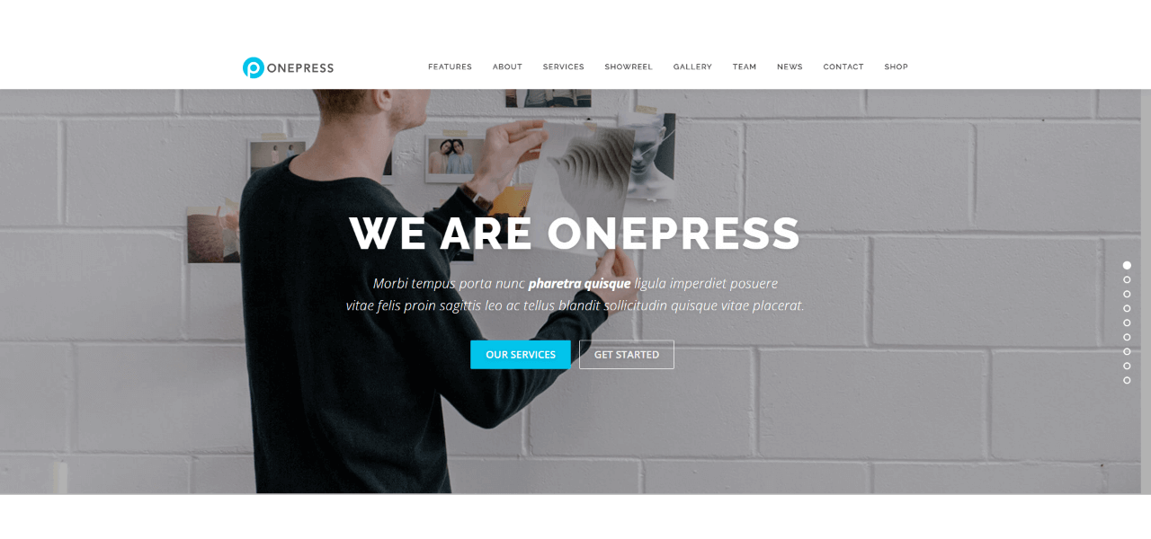 OnePress theme