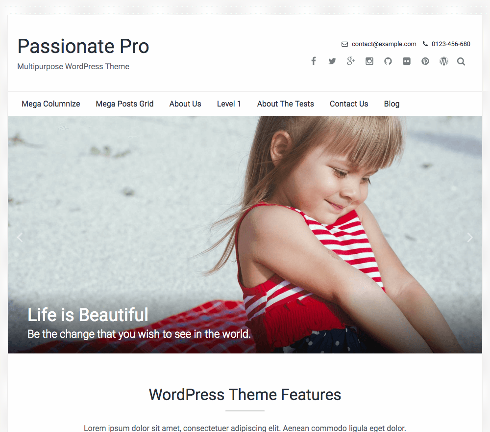 Passionate Pro WordPress Theme